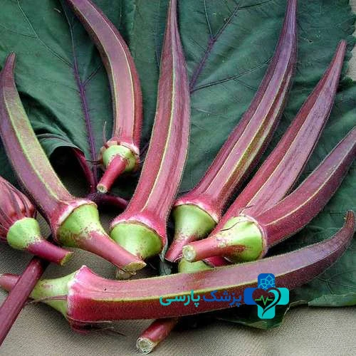 انواع بامیه