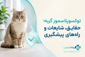 توکسوپلاسموز گربه