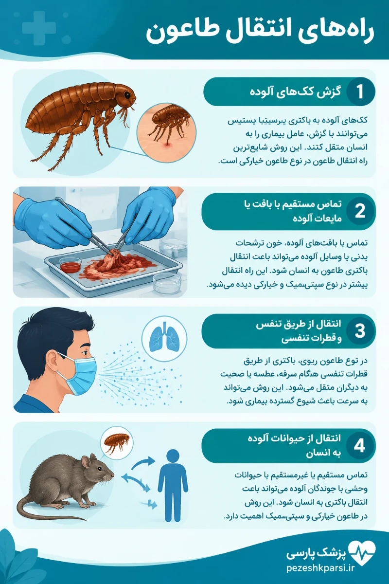 راه های انتقال طاعون